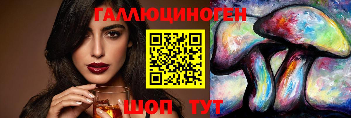 Чита  Псилоцибиновые грибы Psilocybine cubensis  Вход с VPN 